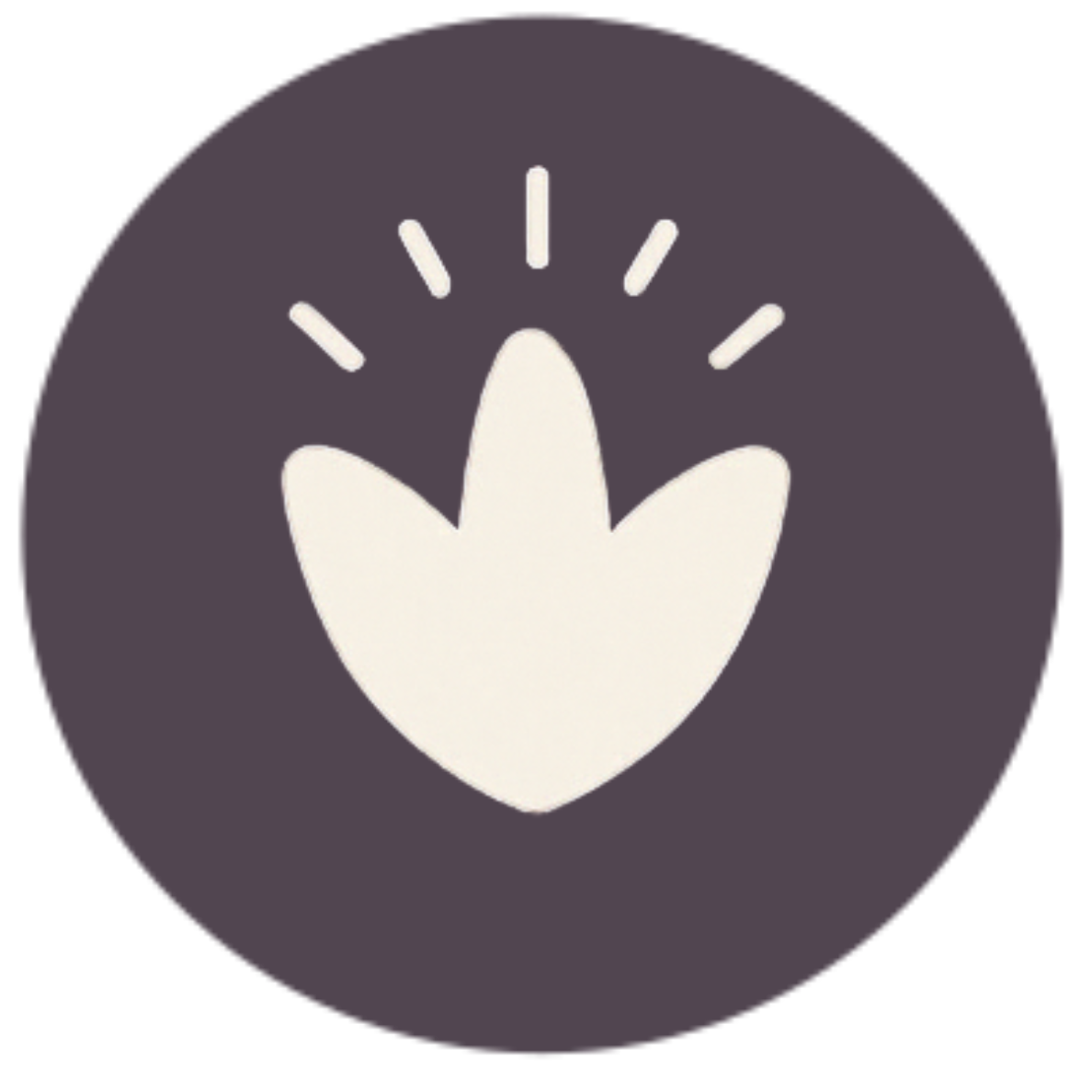 The Shine — phase 4 icon